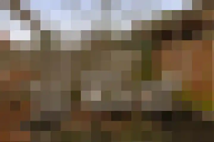 Pulsi Balonishof 18 Capelle aan den IJssel thumbnail 23