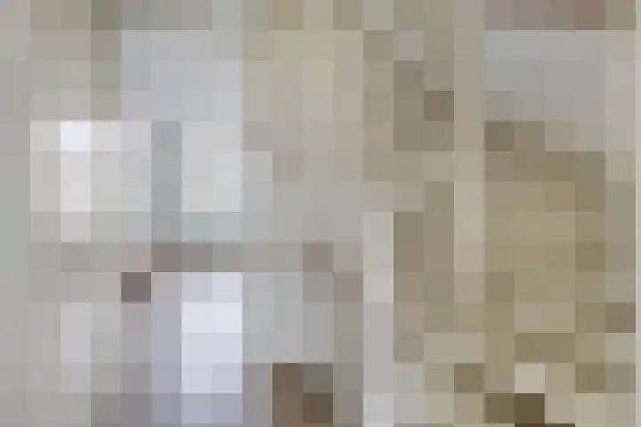 Pulsi Balonishof 18 Capelle aan den IJssel thumbnail 27