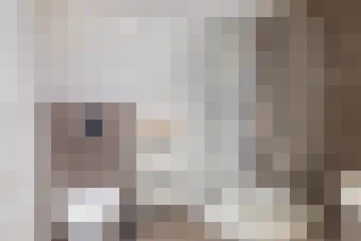 Pulsi Balonishof 18 Capelle aan den IJssel thumbnail 34