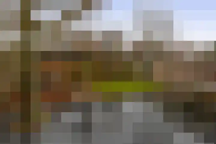 Pulsi Balonishof 18 Capelle aan den IJssel thumbnail 4
