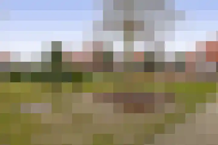 Pulsi Balonishof 18 Capelle aan den IJssel thumbnail 44