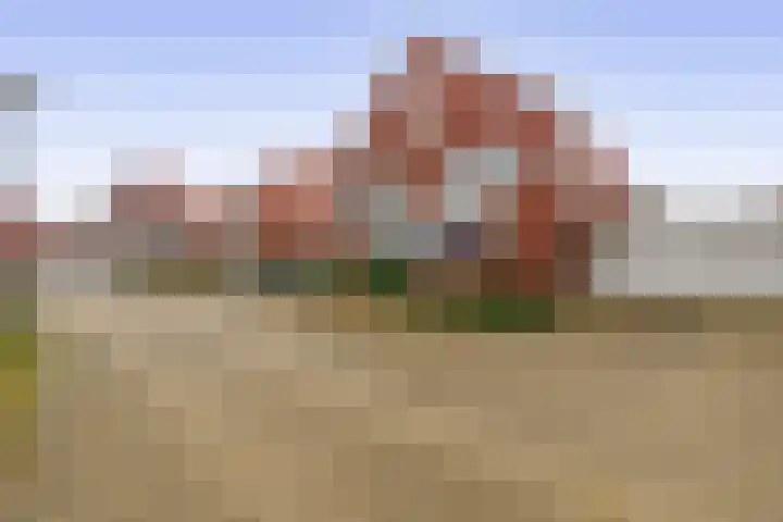 Pulsi Balonishof 18 Capelle aan den IJssel thumbnail 46