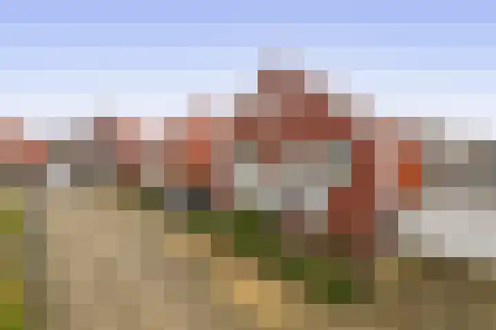 Pulsi Balonishof 18 Capelle aan den IJssel thumbnail 47