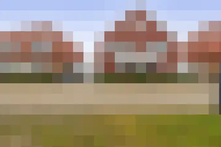 Pulsi Balonishof 18 Capelle aan den IJssel thumbnail 48