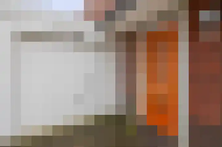 Pulsi Balonishof 18 Capelle aan den IJssel thumbnail 5
