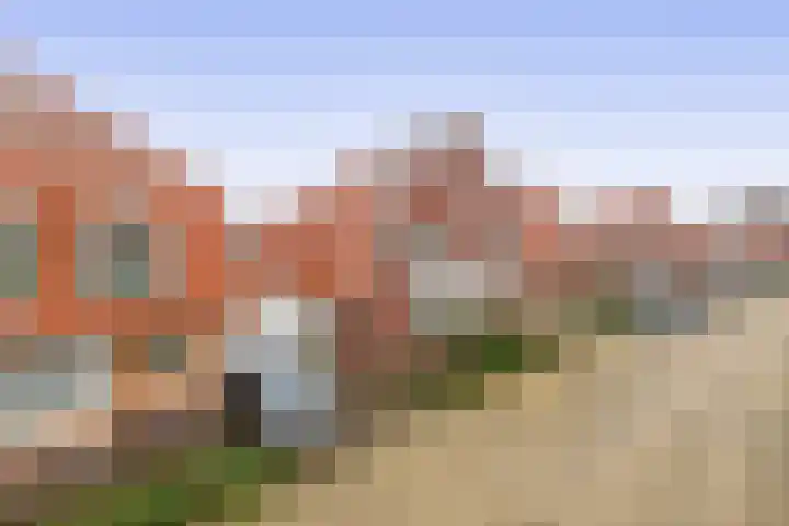 Pulsi Balonishof 18 Capelle aan den IJssel thumbnail 51