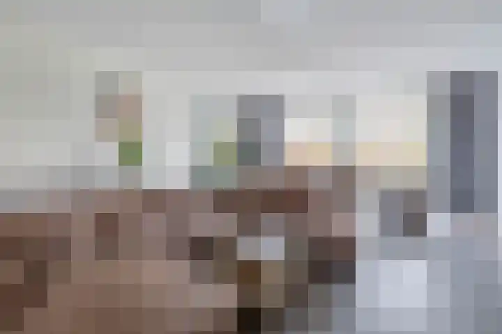 Pulsi Balonishof 18 Capelle aan den IJssel thumbnail 9