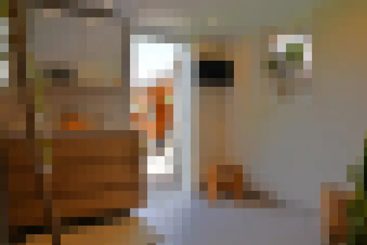 Pulvertorenstraat 19 Leek thumbnail 17