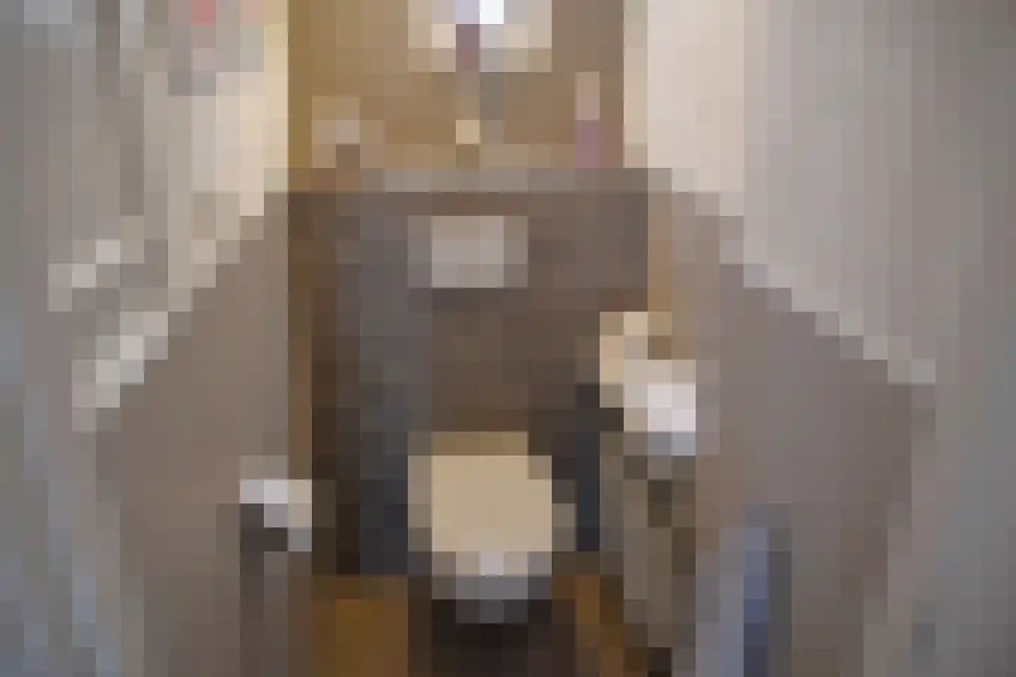 Pulvertorenstraat 19 Leek thumbnail 18