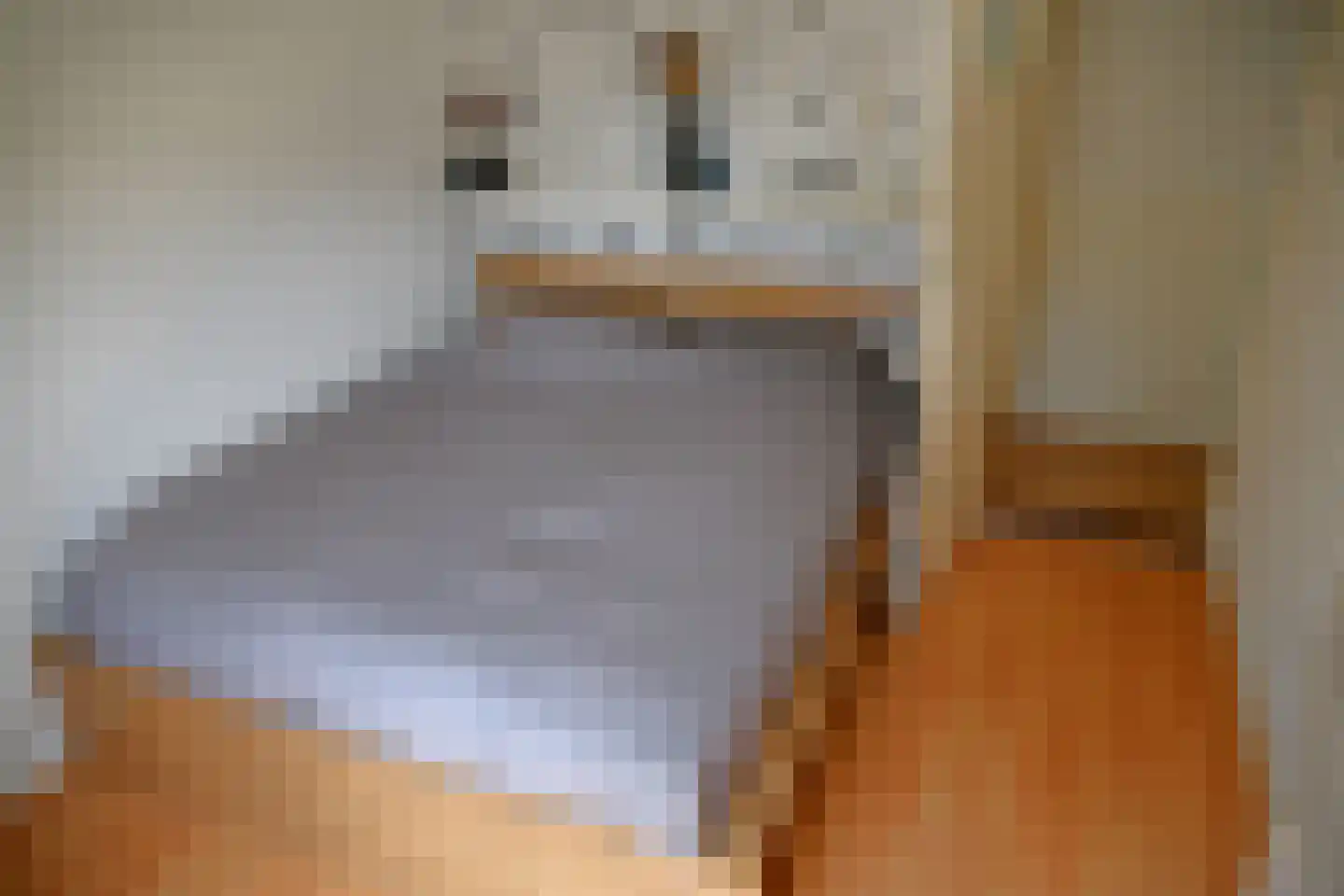 Pulvertorenstraat 19 Leek thumbnail 21