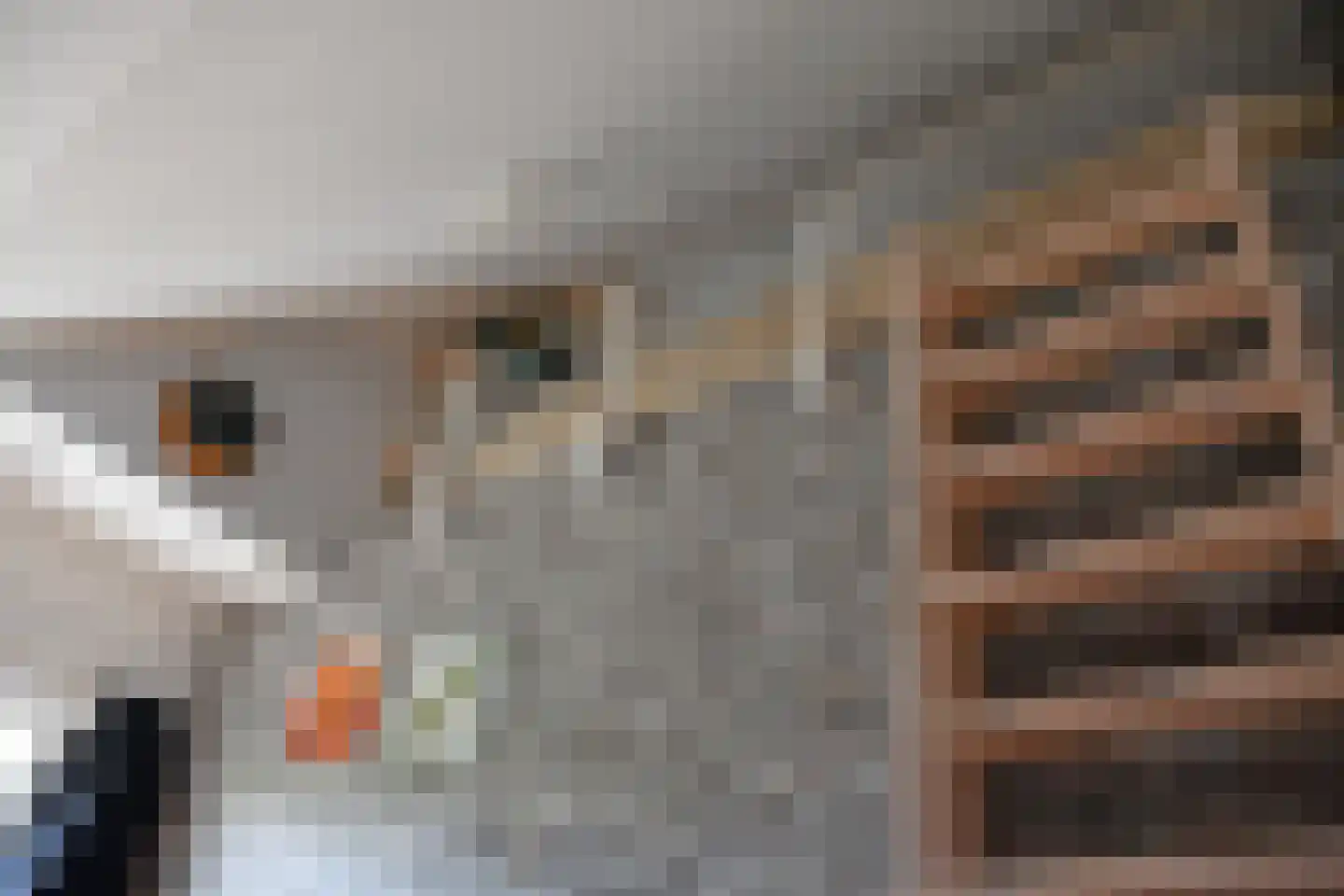 Pulvertorenstraat 19 Leek thumbnail 23