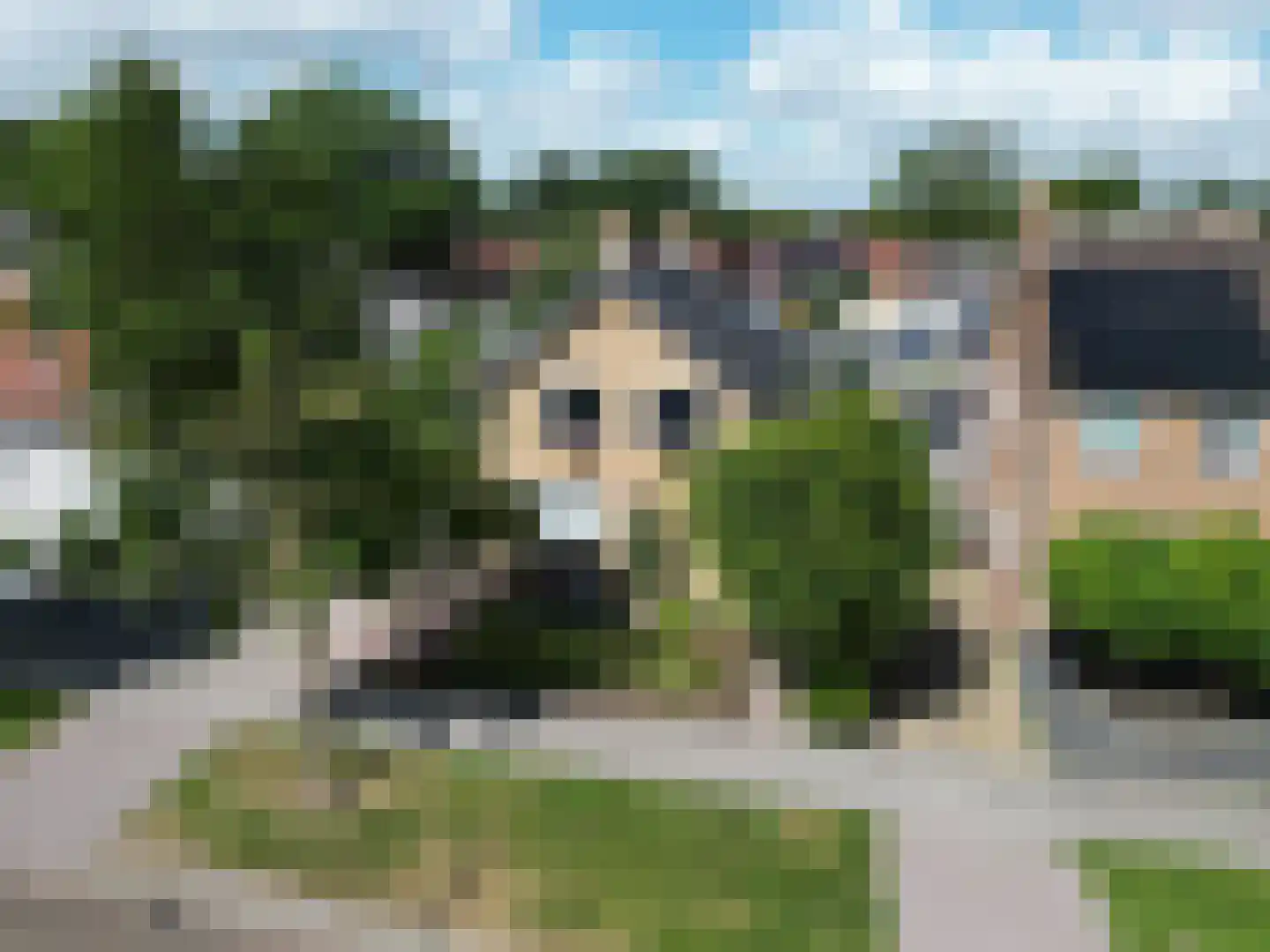 Pulvertorenstraat 19 Leek thumbnail 4