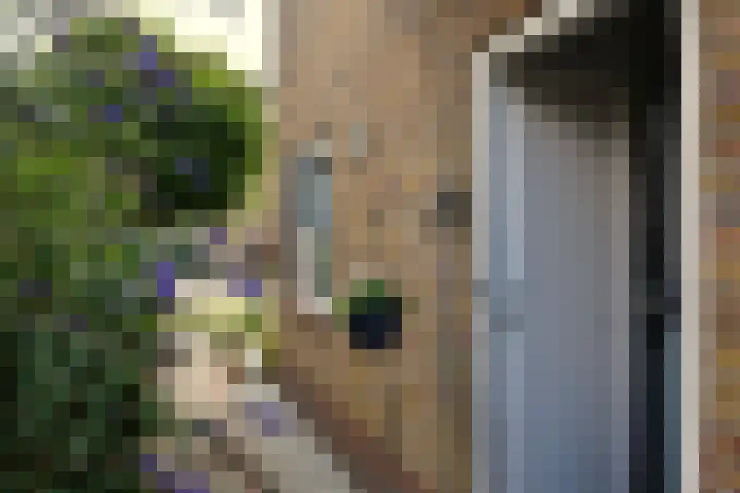 Pulvertorenstraat 19 Leek thumbnail 7