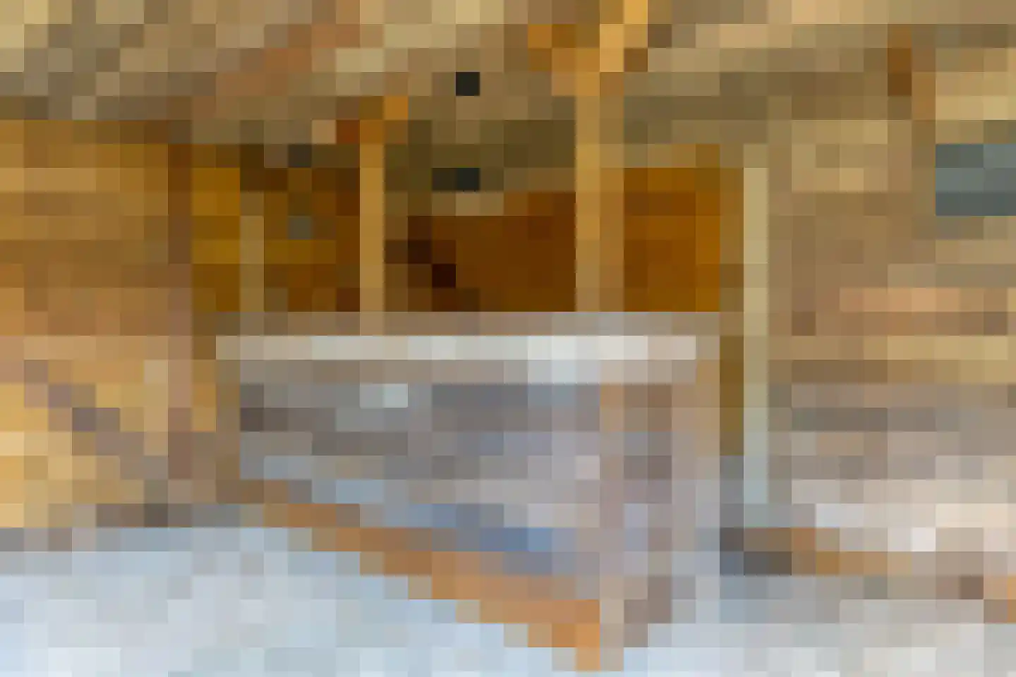 Pulvertorenstraat 36 Leek thumbnail 22