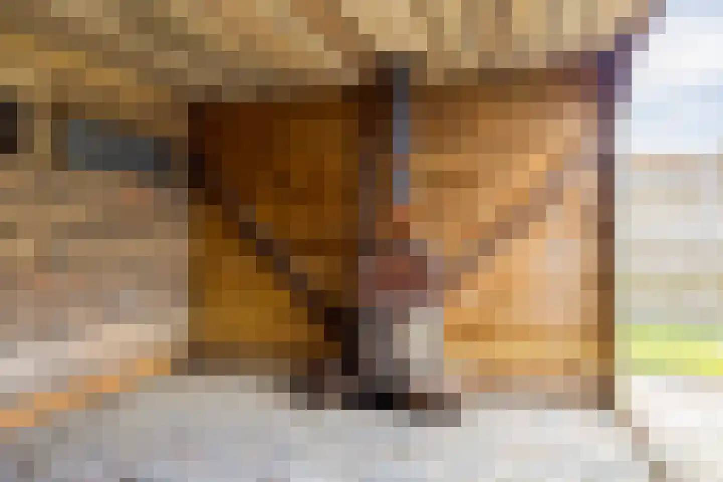Pulvertorenstraat 36 Leek thumbnail 23
