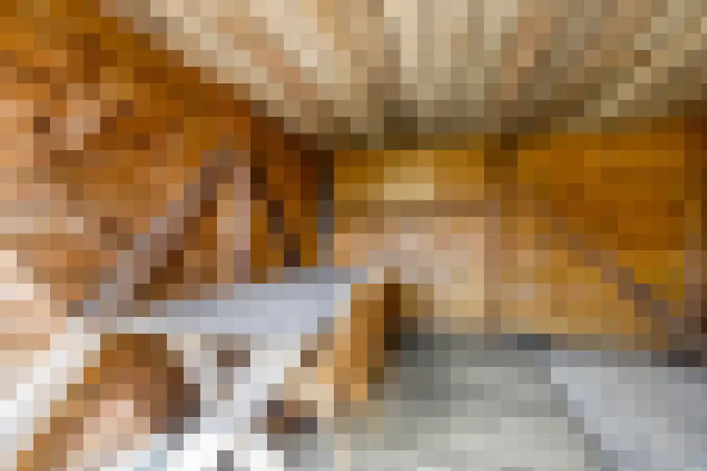 Pulvertorenstraat 36 Leek thumbnail 24