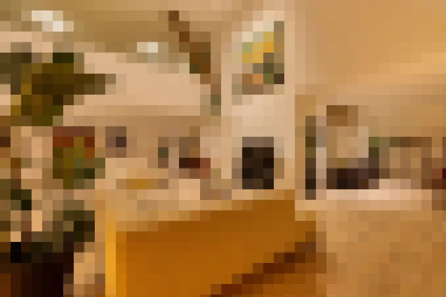 Púndyk 4 a Wytgaard thumbnail 17