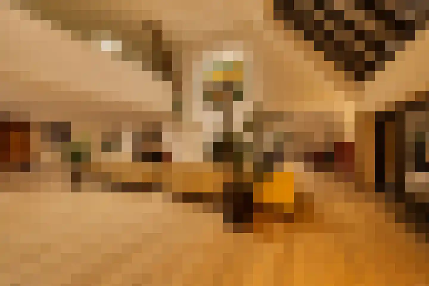 Púndyk 4 a Wytgaard thumbnail 18