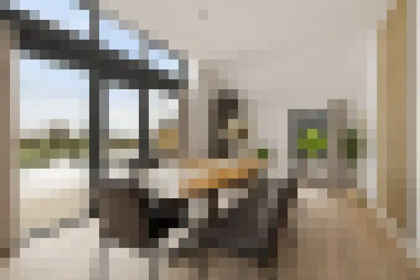 Púndyk 4 a Wytgaard thumbnail 21
