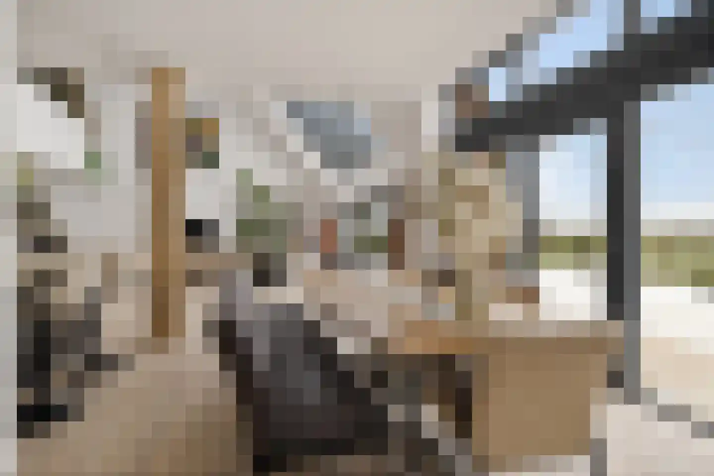 Púndyk 4 a Wytgaard thumbnail 22