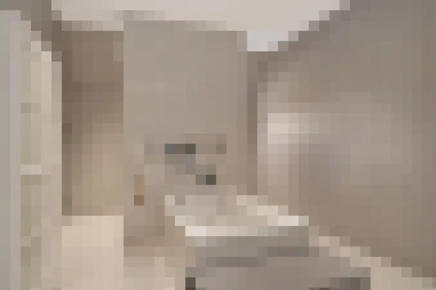 Púndyk 4 a Wytgaard thumbnail 31