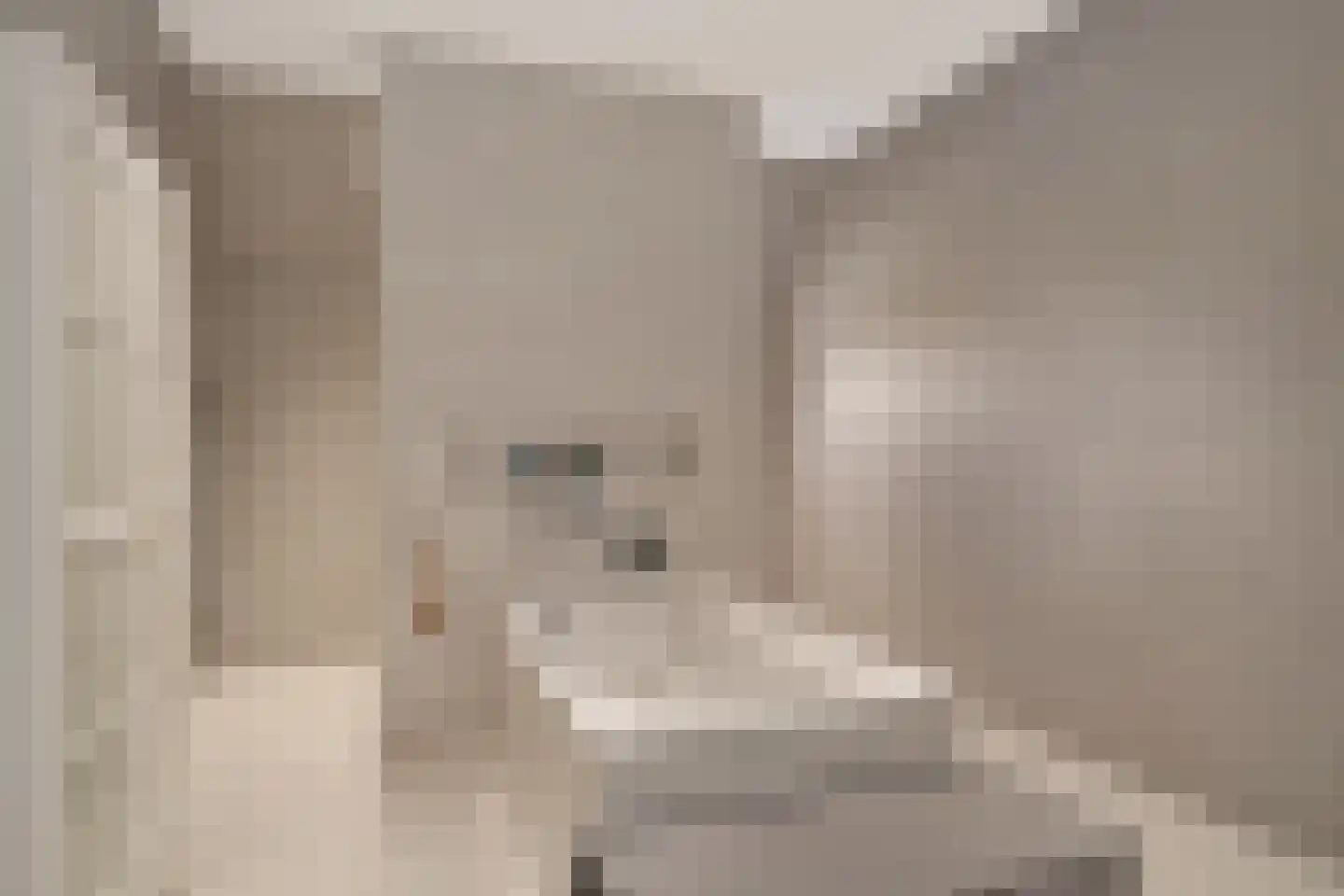 Púndyk 4 a Wytgaard thumbnail 4