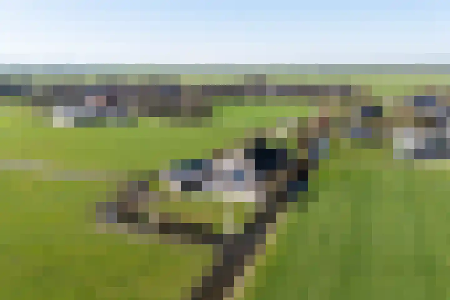 Púndyk 4 a Wytgaard thumbnail 57