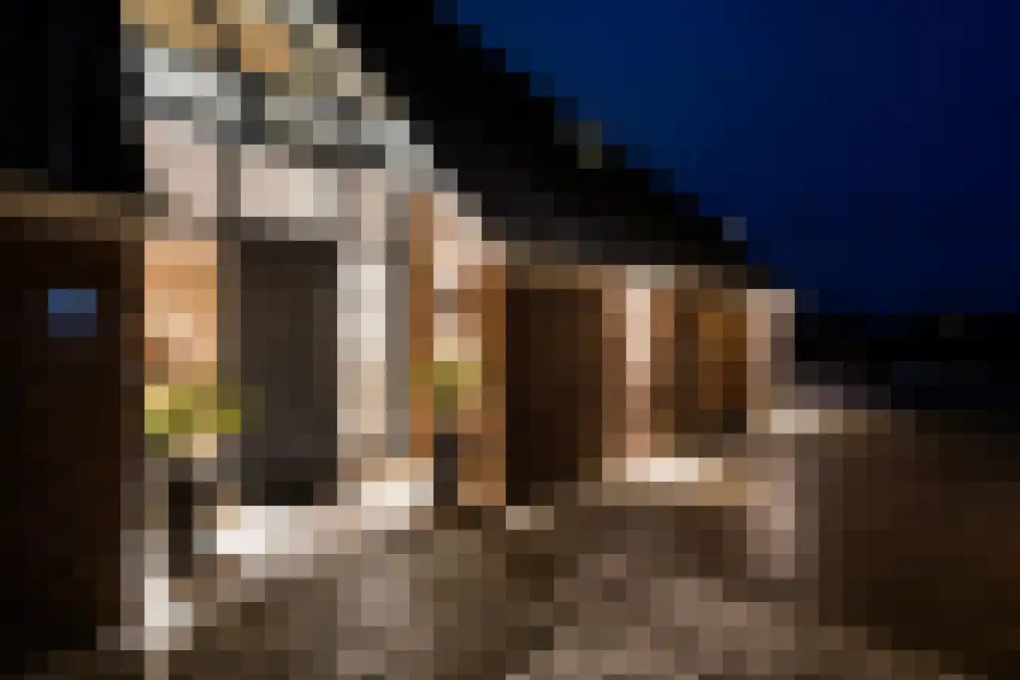 Púndyk 4 a Wytgaard thumbnail 7