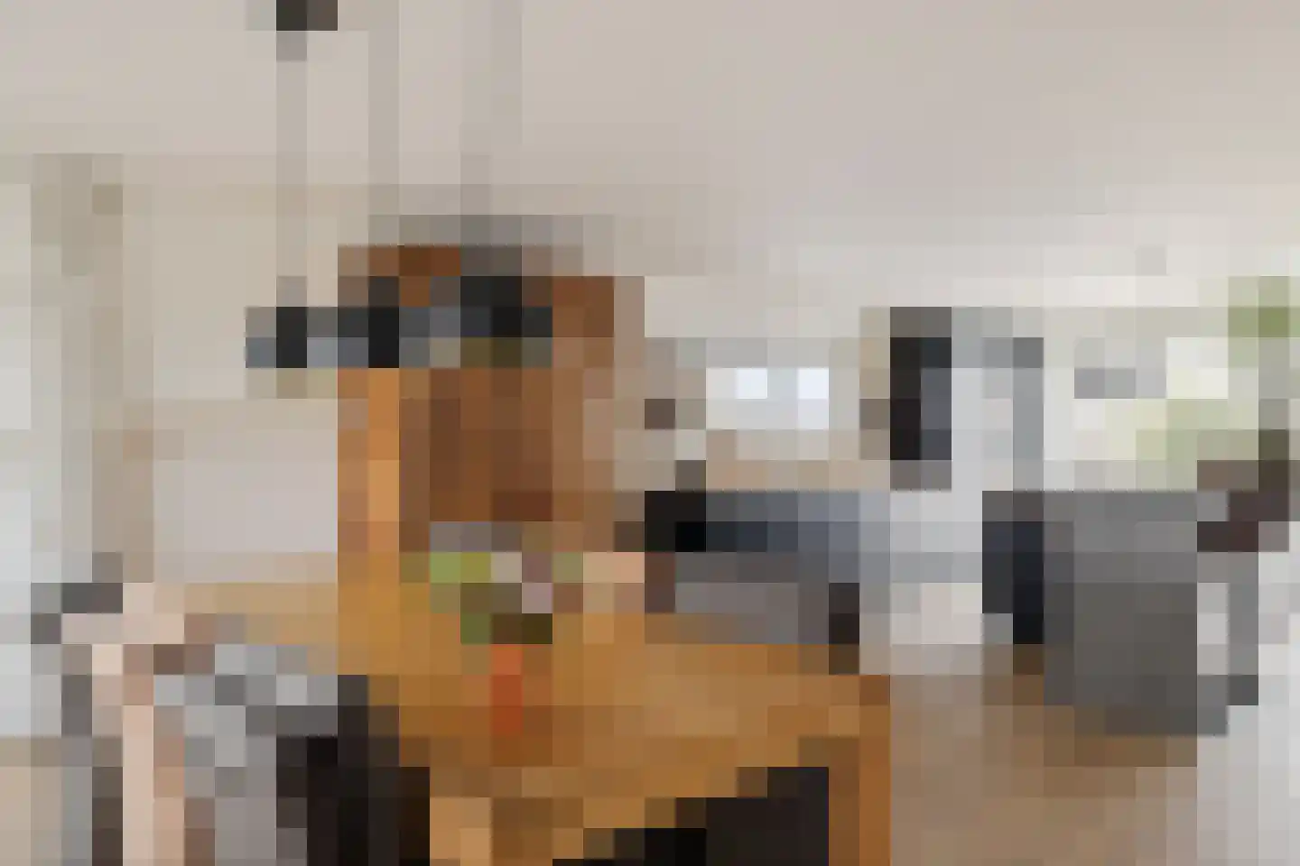 Púndyk 4 b Wytgaard thumbnail 20