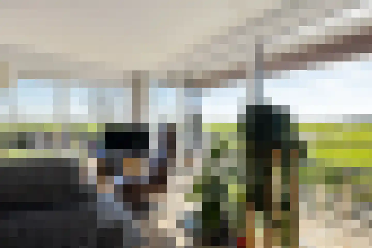 Púndyk 4 b Wytgaard thumbnail 27