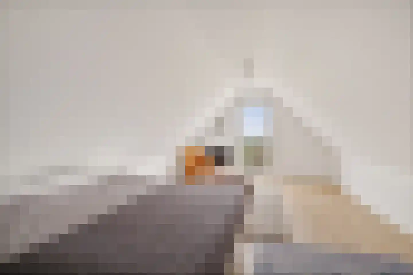 Púndyk 4 b Wytgaard thumbnail 29