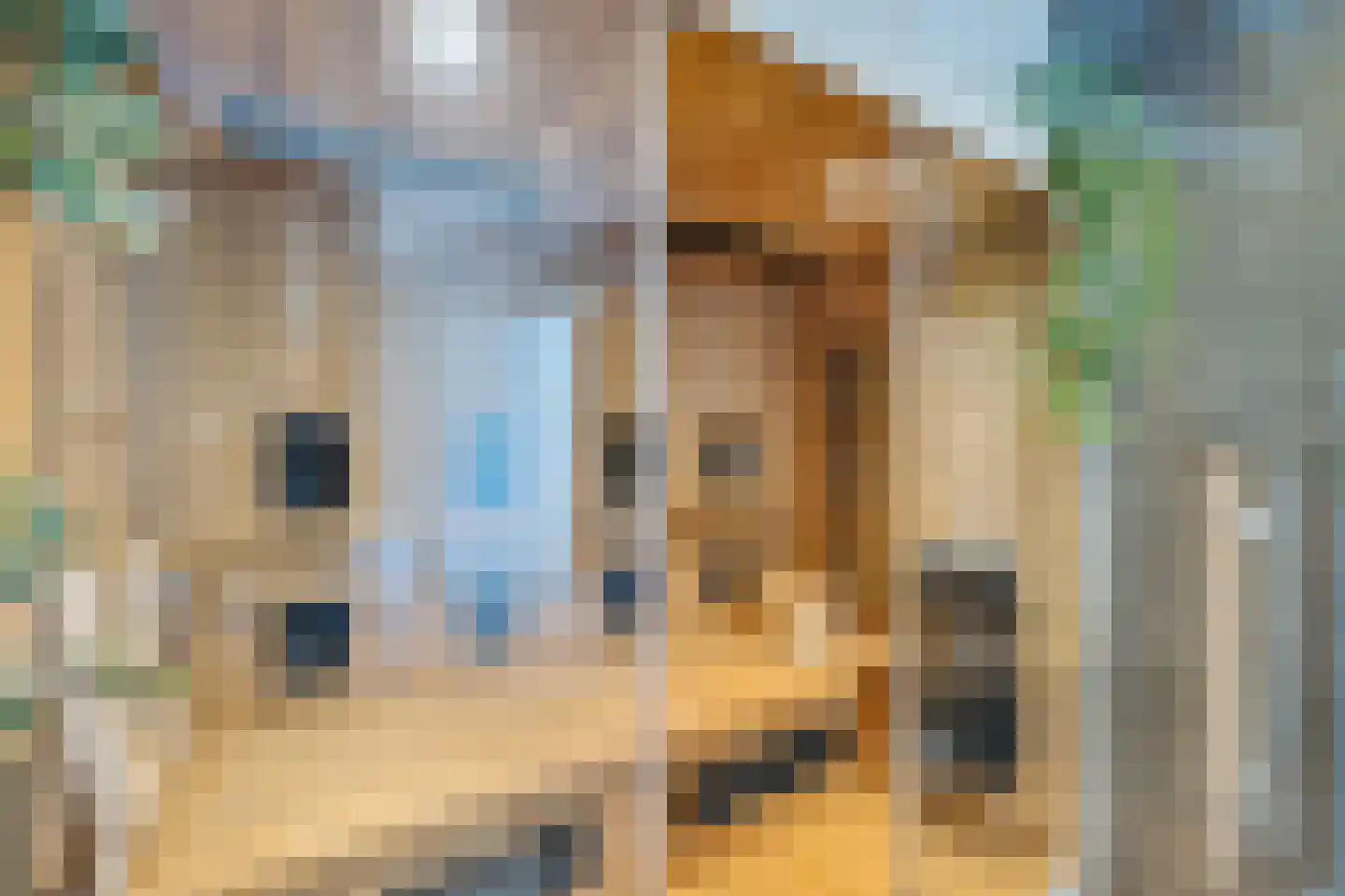 Púndyk 4 b Wytgaard thumbnail 39