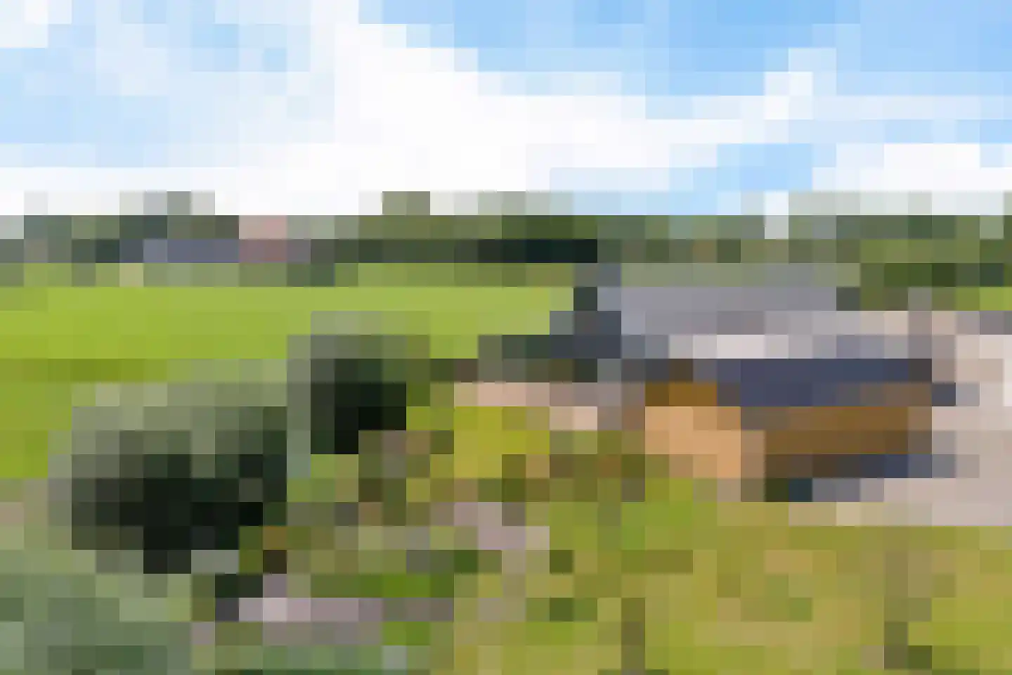 Púndyk 4 b Wytgaard thumbnail 4