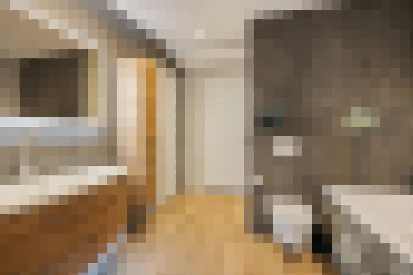 Púndyk 4 b Wytgaard thumbnail 40