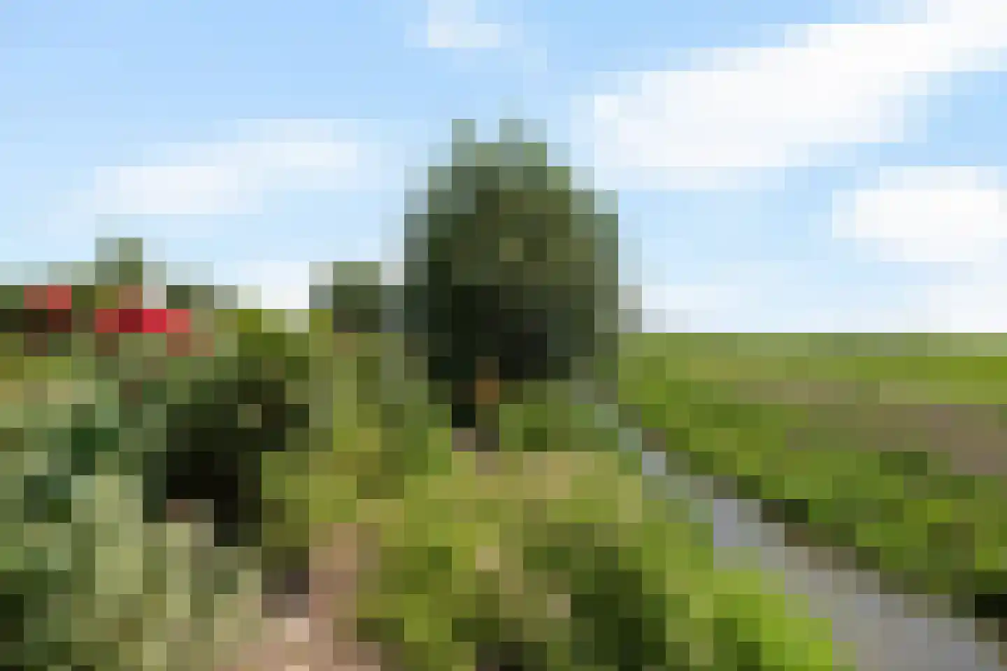 Púndyk 4 b Wytgaard thumbnail 40