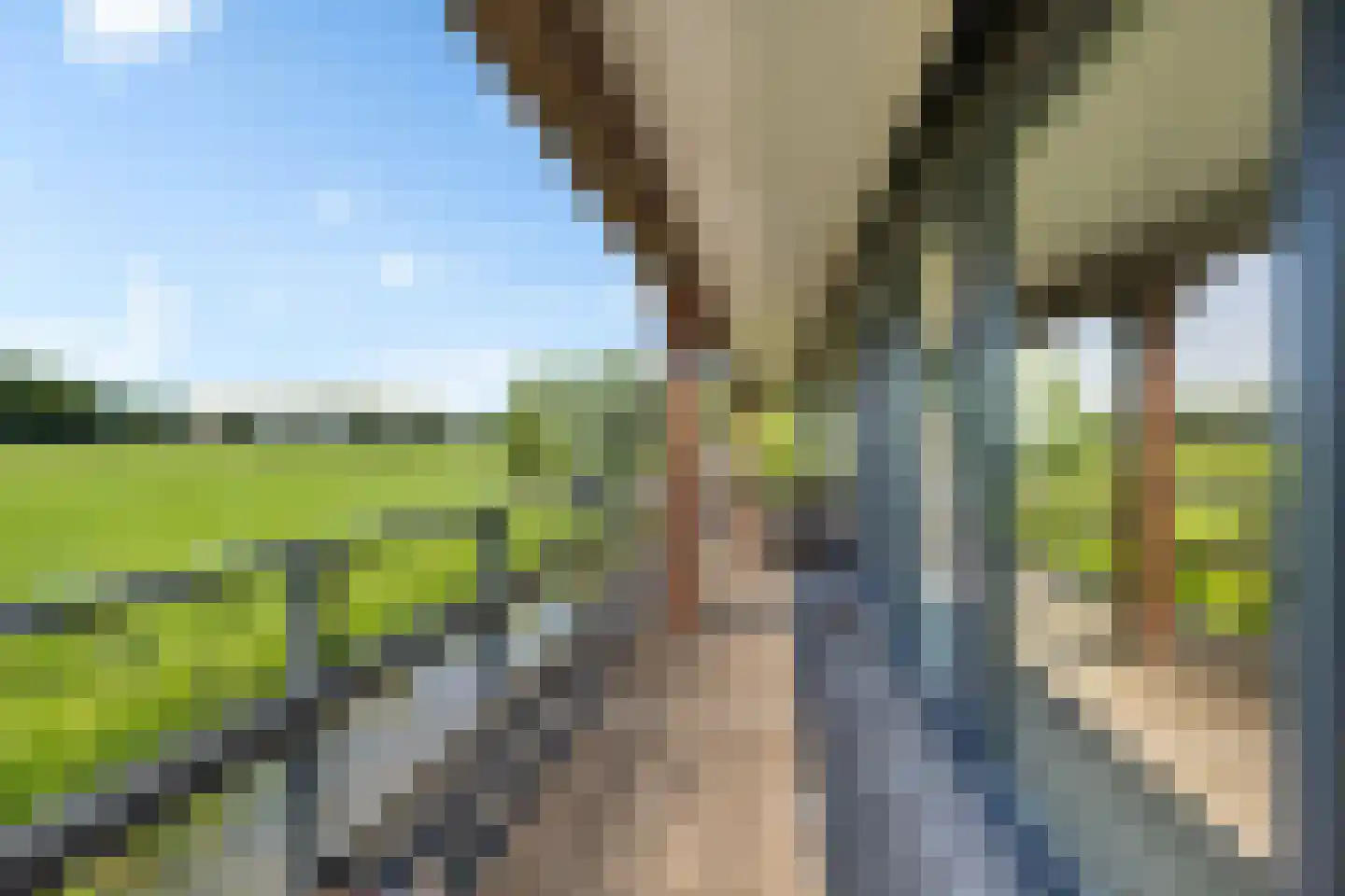 Púndyk 4 b Wytgaard thumbnail 41