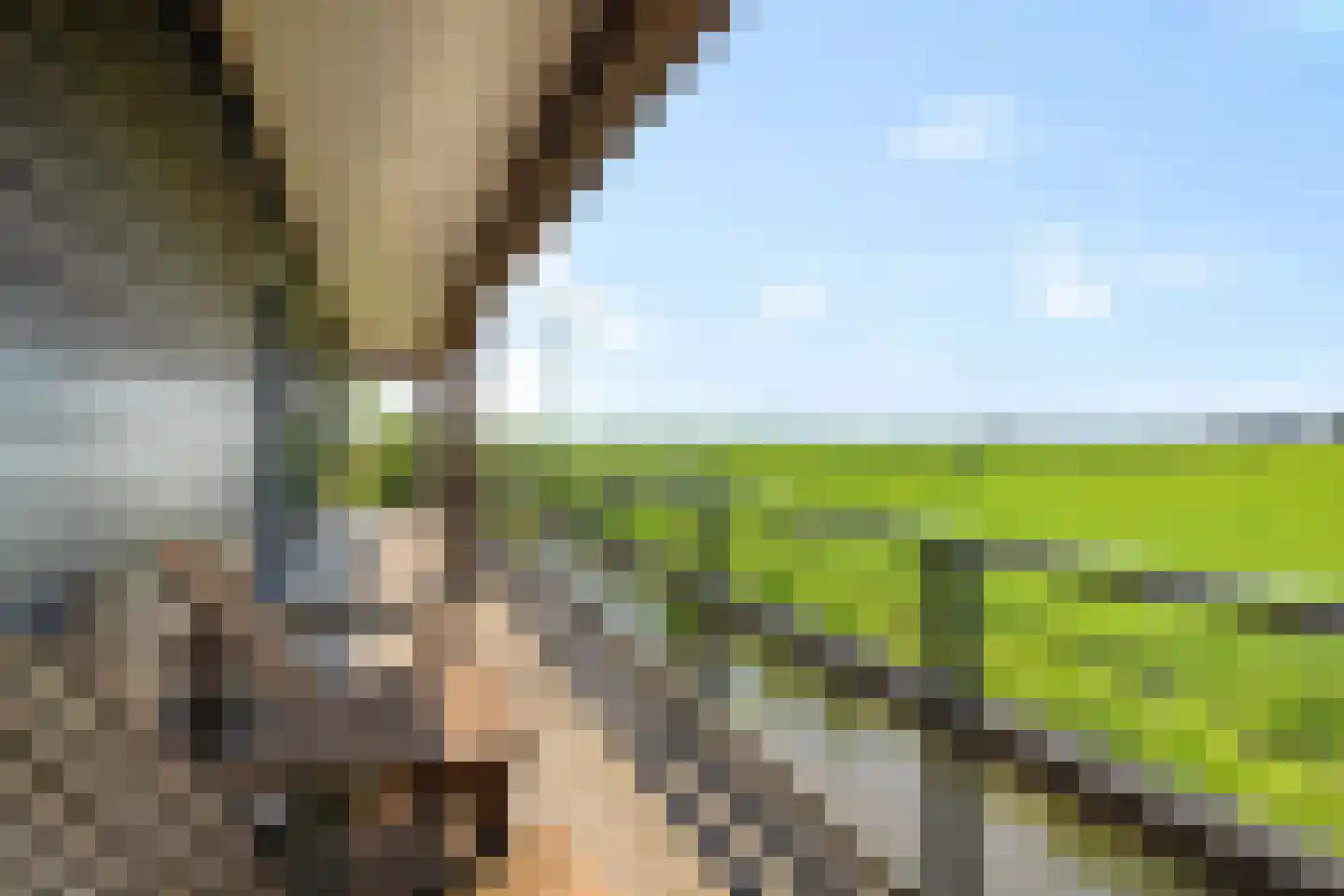 Púndyk 4 b Wytgaard thumbnail 43