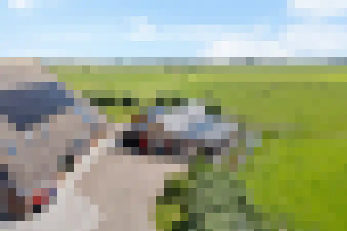 Púndyk 4 b Wytgaard thumbnail 46