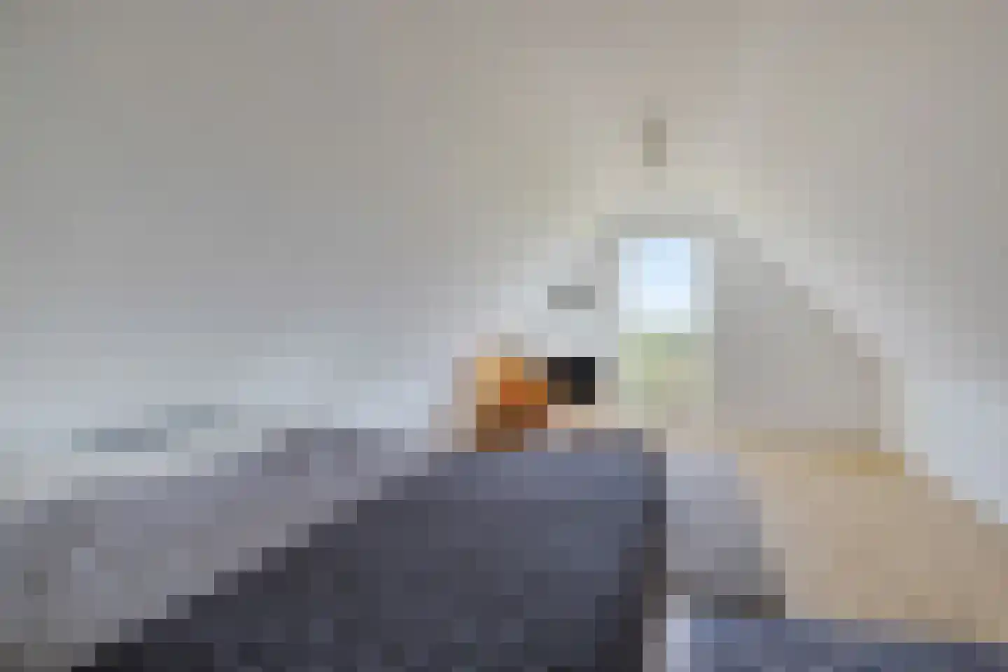 Púndyk 4 b Wytgaard thumbnail 47