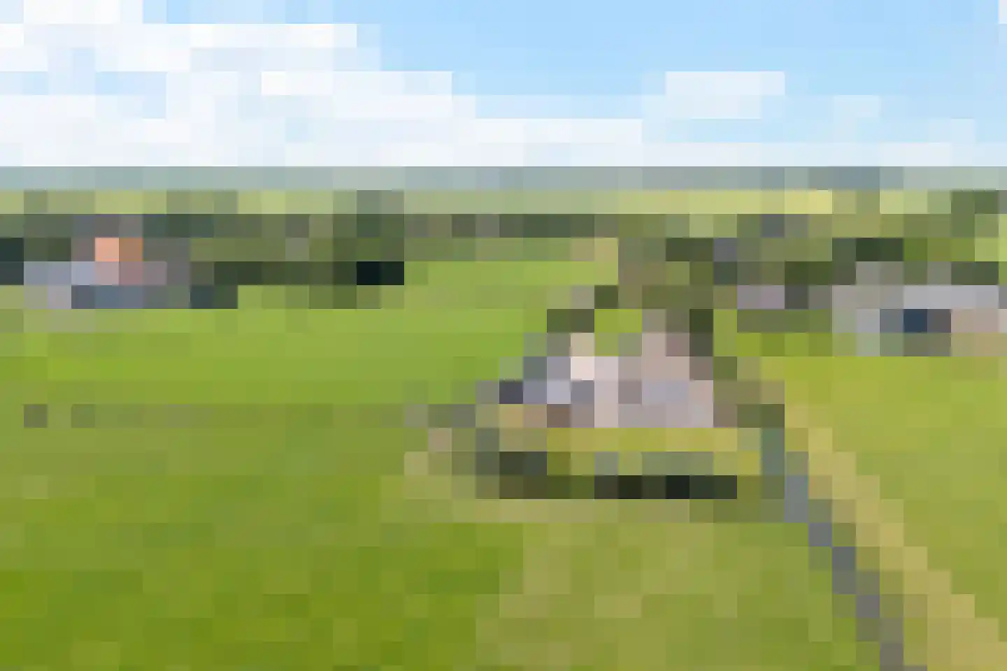 Púndyk 4 b Wytgaard thumbnail 49