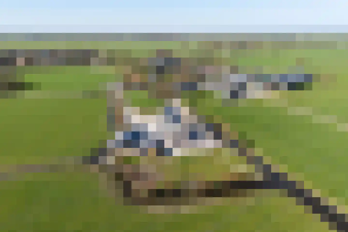 Púndyk 4 b Wytgaard thumbnail 56