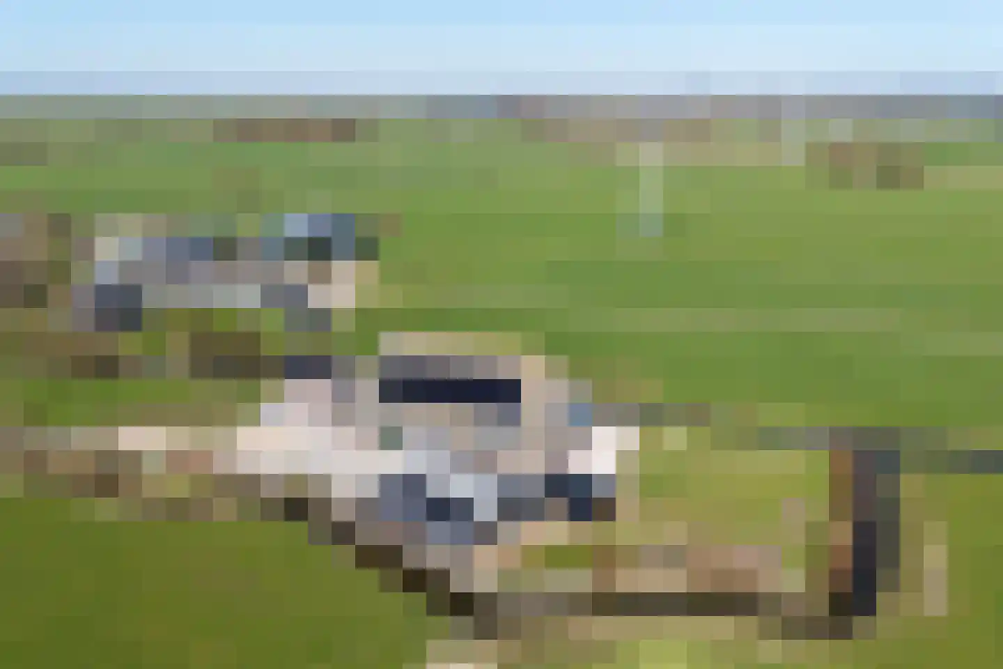 Púndyk 4 b Wytgaard thumbnail 57