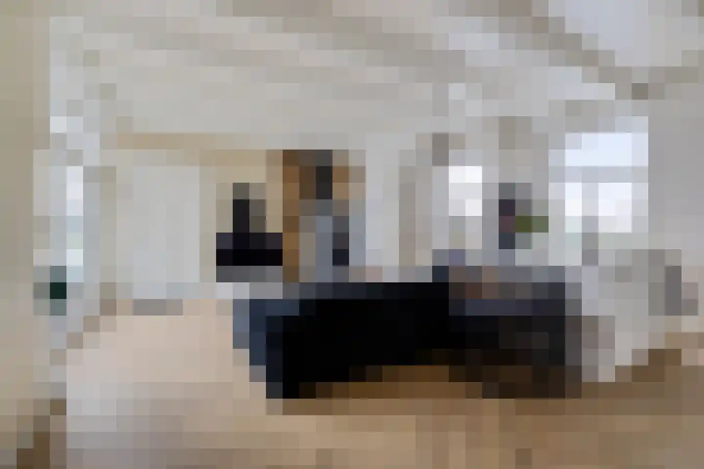 Púndyk 4 Wytgaard thumbnail 16