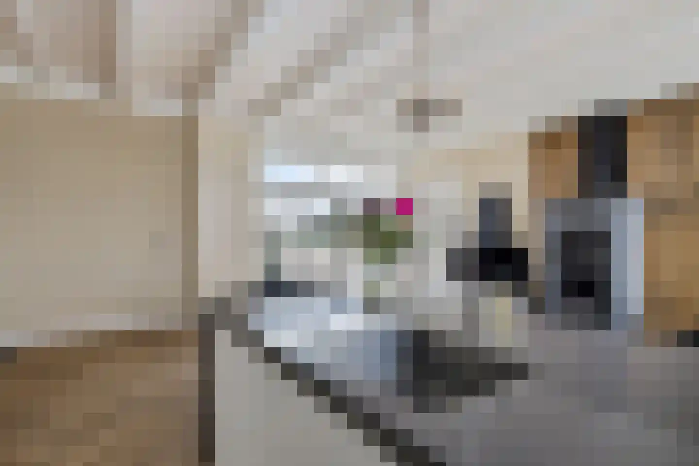 Púndyk 4 Wytgaard thumbnail 22