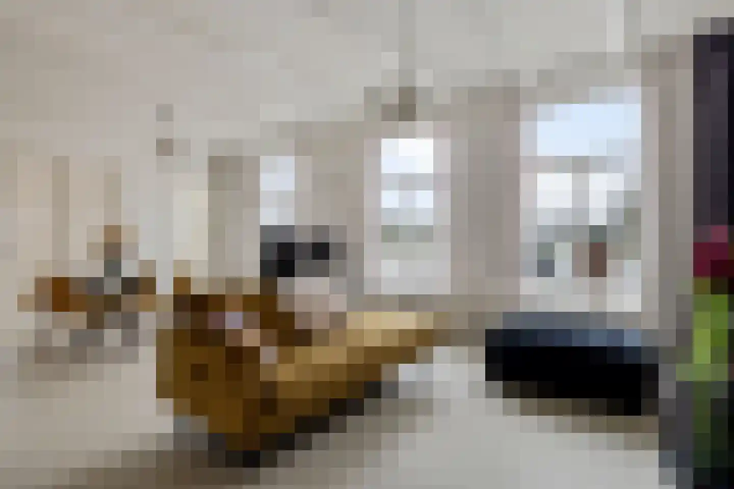Púndyk 4 Wytgaard thumbnail 33