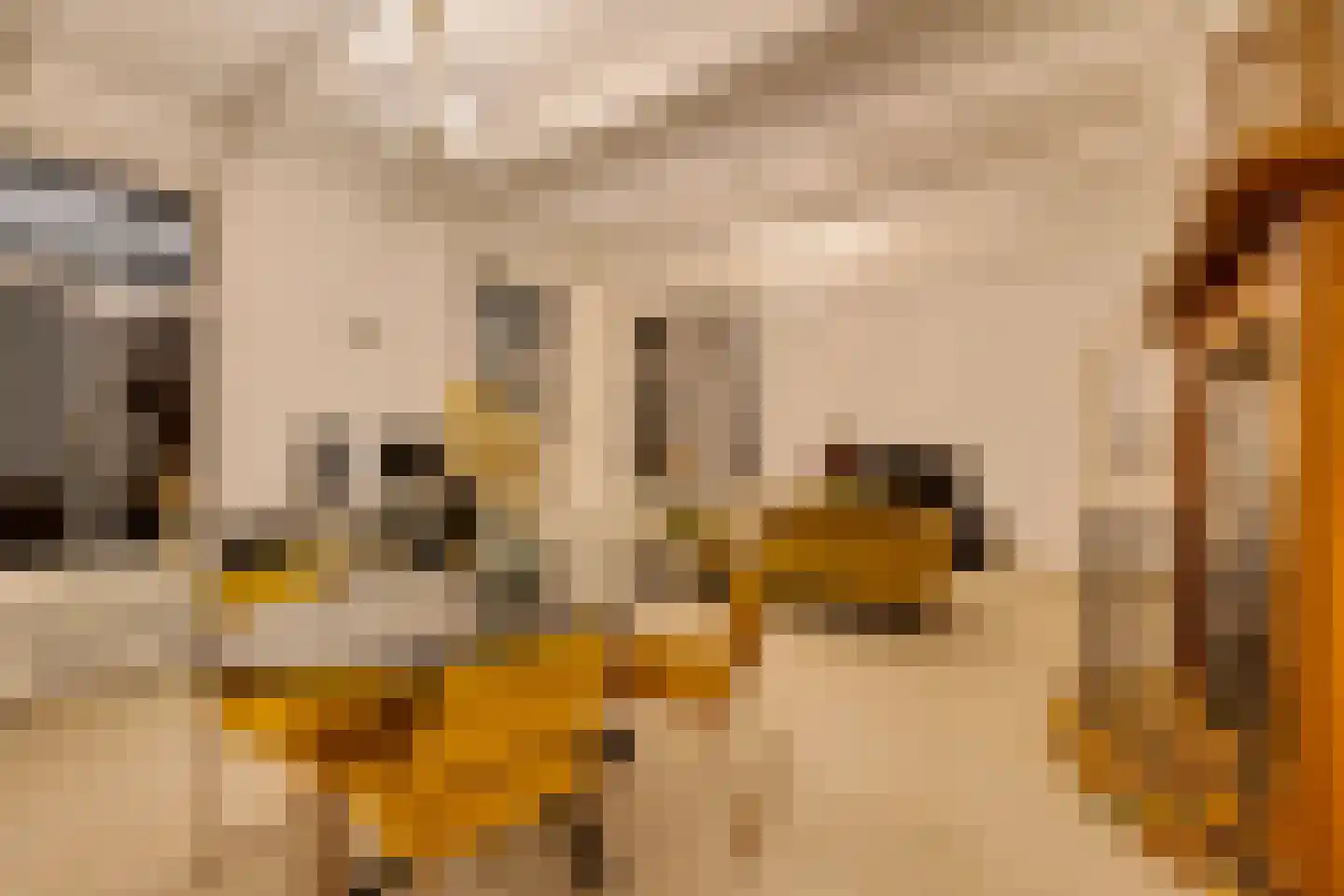 Púndyk 4 Wytgaard thumbnail 36