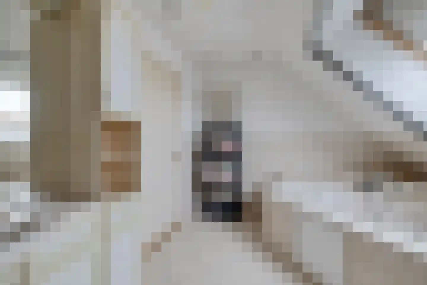 Púndyk 4 Wytgaard thumbnail 50