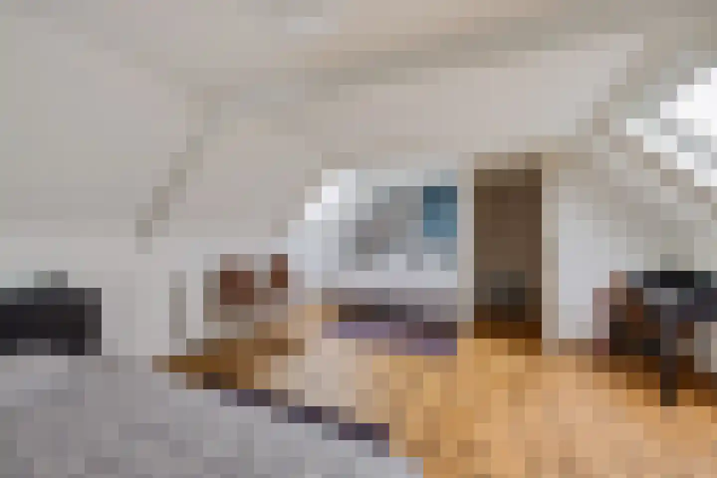 Púndyk 4 Wytgaard thumbnail 56