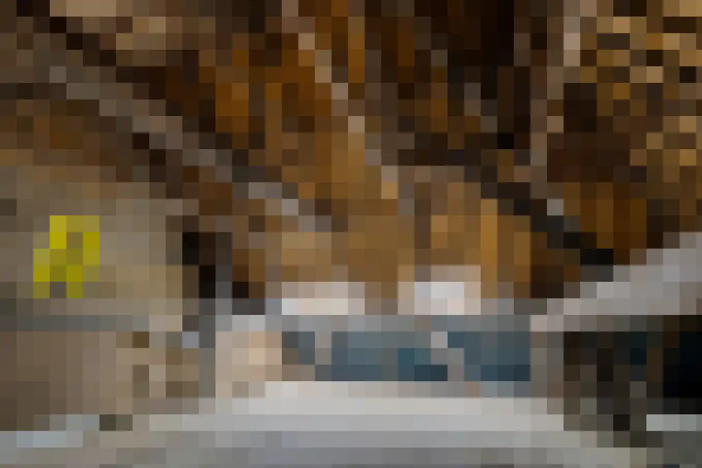 Púndyk 4 Wytgaard thumbnail 58