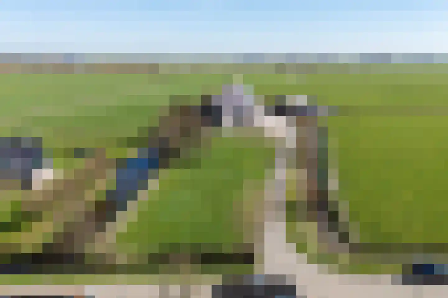 Púndyk 4 Wytgaard thumbnail 64